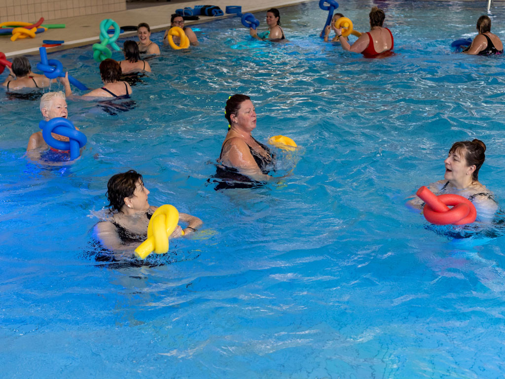 Aqua Fitness Trainer B-Lizenz Ausbildung Online