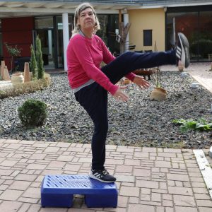 Step Aerobic Trainer Ausbildung Online