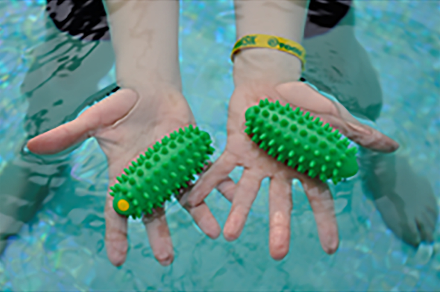 Aqua Brasil Workshop Online - 1.jpg