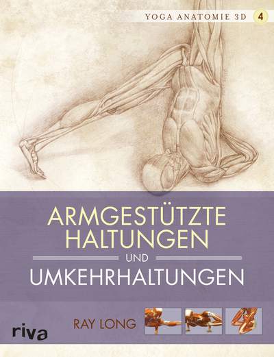 Yoga Anatomie Armgesützte Haltungen