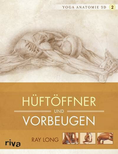Yoga Anatomie Hüftöffner