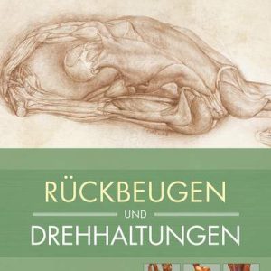 Yoga Anatomie Rückbeugen