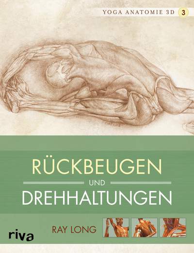 Yoga Anatomie Rückbeugen