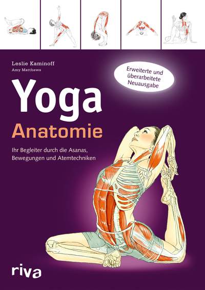 Yoga Anatomie
