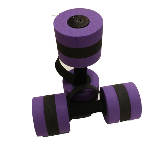 Aqua Hanteln Lila.png