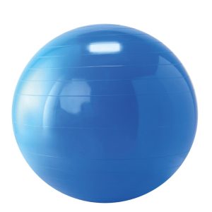 gymnic-gymnastiek-fysiobal-65-cm-blauw-14573210.jpg