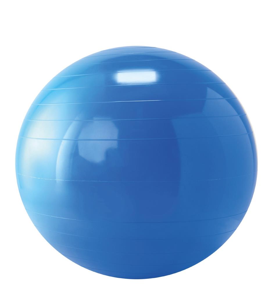 gymnic-gymnastiek-fysiobal-65-cm-blauw-14573210.jpg